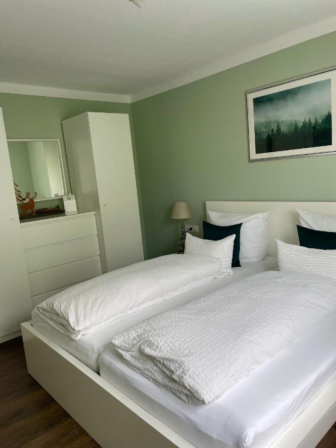 Blackforest Apartment Freudenstadt Extérieur photo