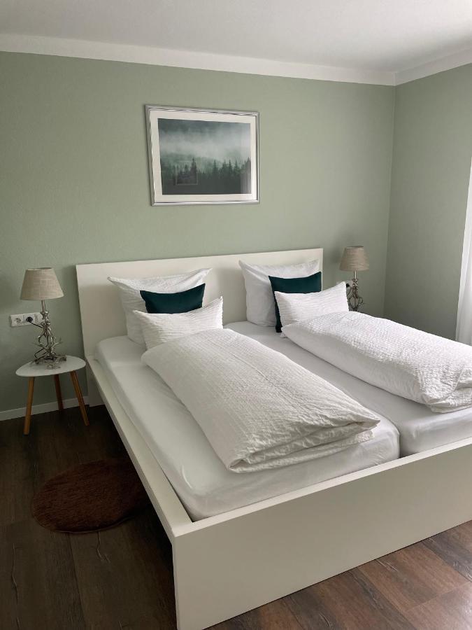 Blackforest Apartment Freudenstadt Extérieur photo