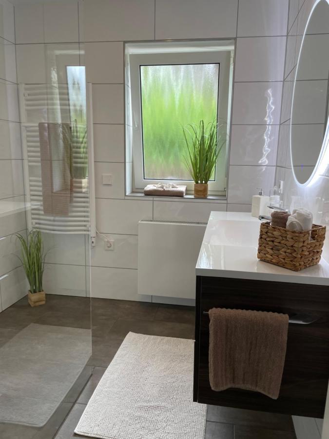 Blackforest Apartment Freudenstadt Extérieur photo