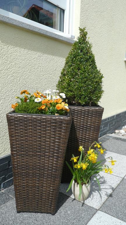 Blackforest Apartment Freudenstadt Extérieur photo